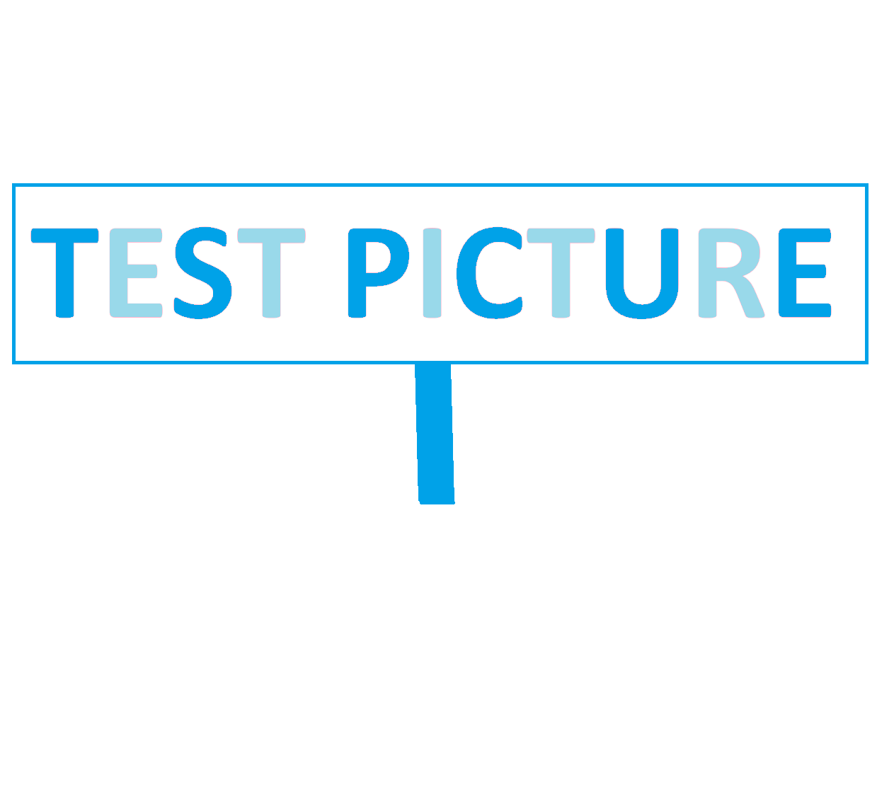 Test Picture.png